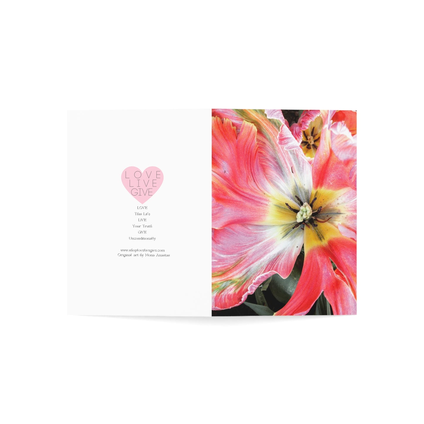 Tulip Wide Open Greeting Card (1pc or 10pc)