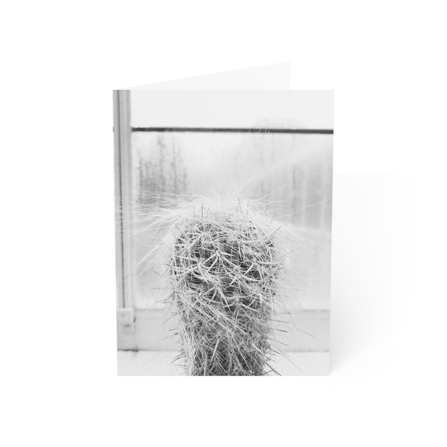 Hairy Cactus in Black & White Greeting Card (1pc or 10pc)