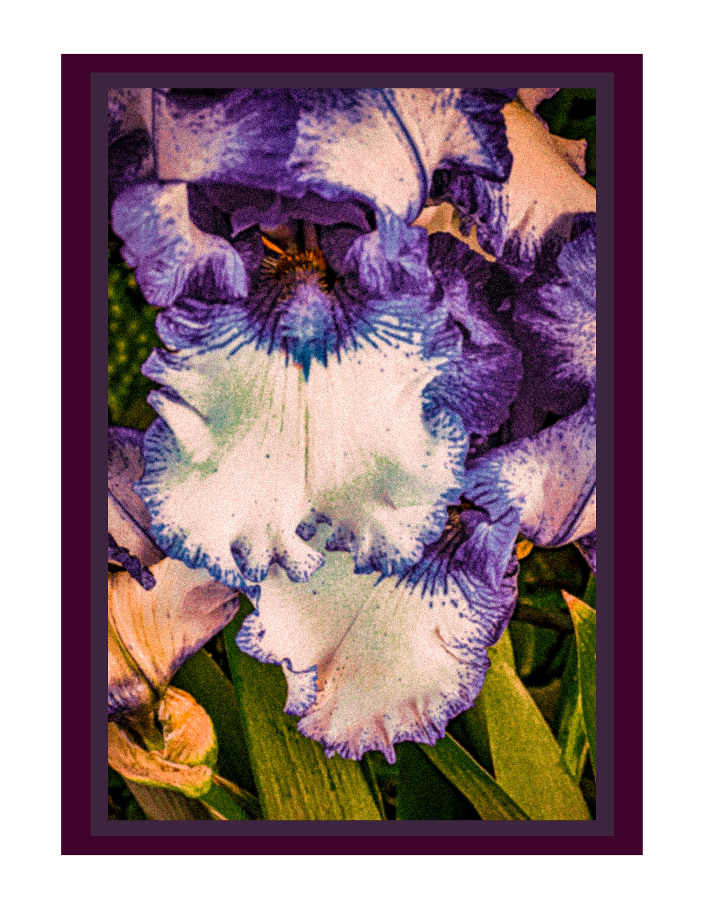 2026 Expressions of Light Desk Calendar and Planner - Art by Mona Anastas