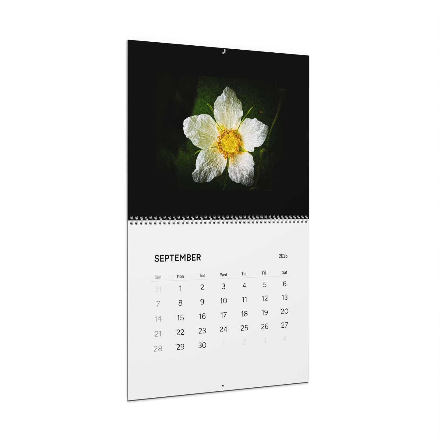 Flowers in Black Wall Calendars (2025)