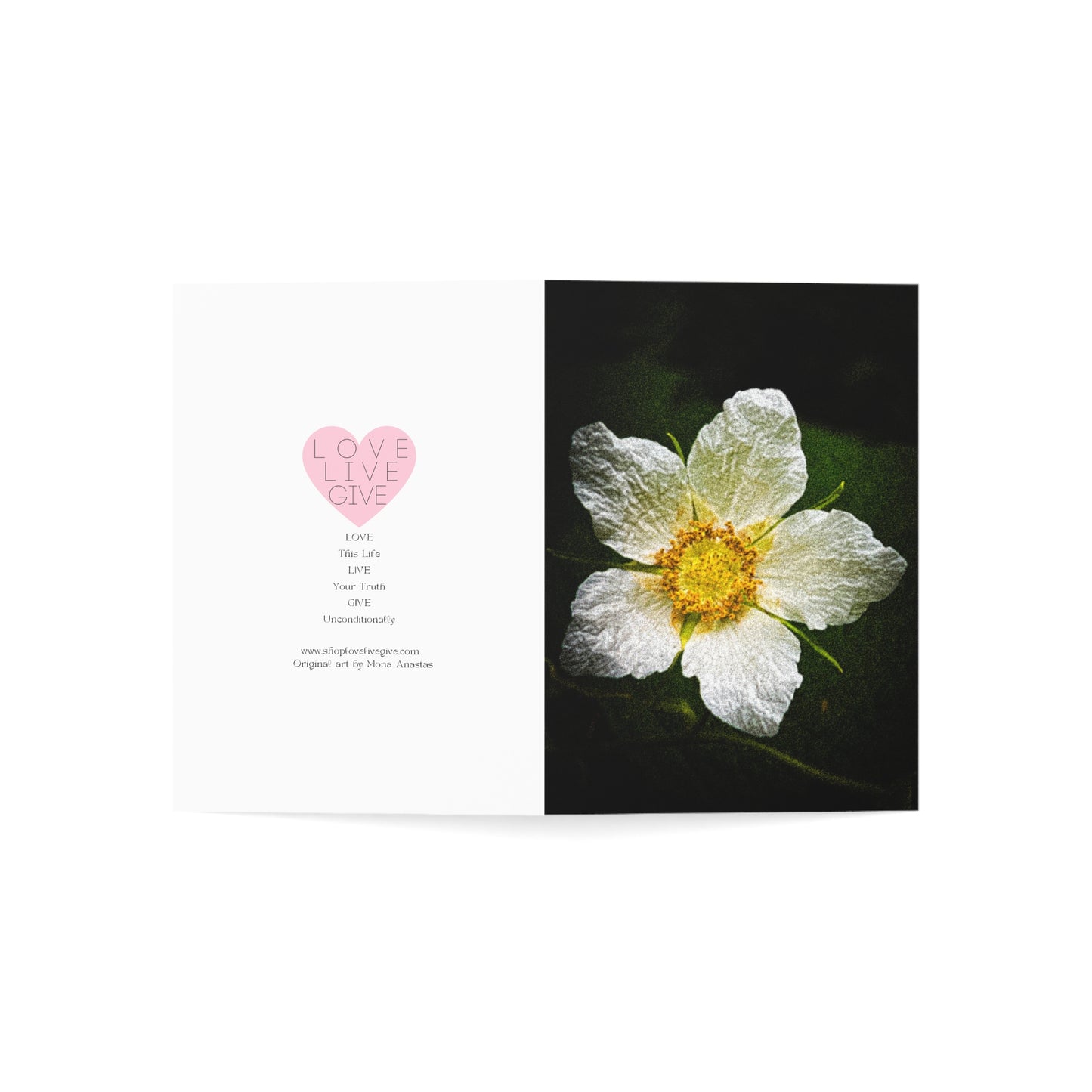White Climbing Rose Greeting Card (1pc or 10pc)