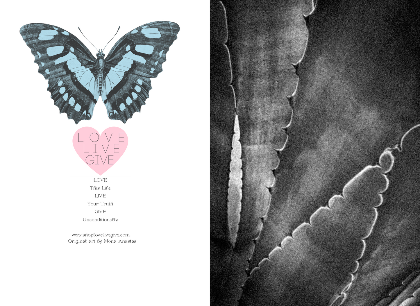 Agave in Black and White Journal: Art by Mona Anastas