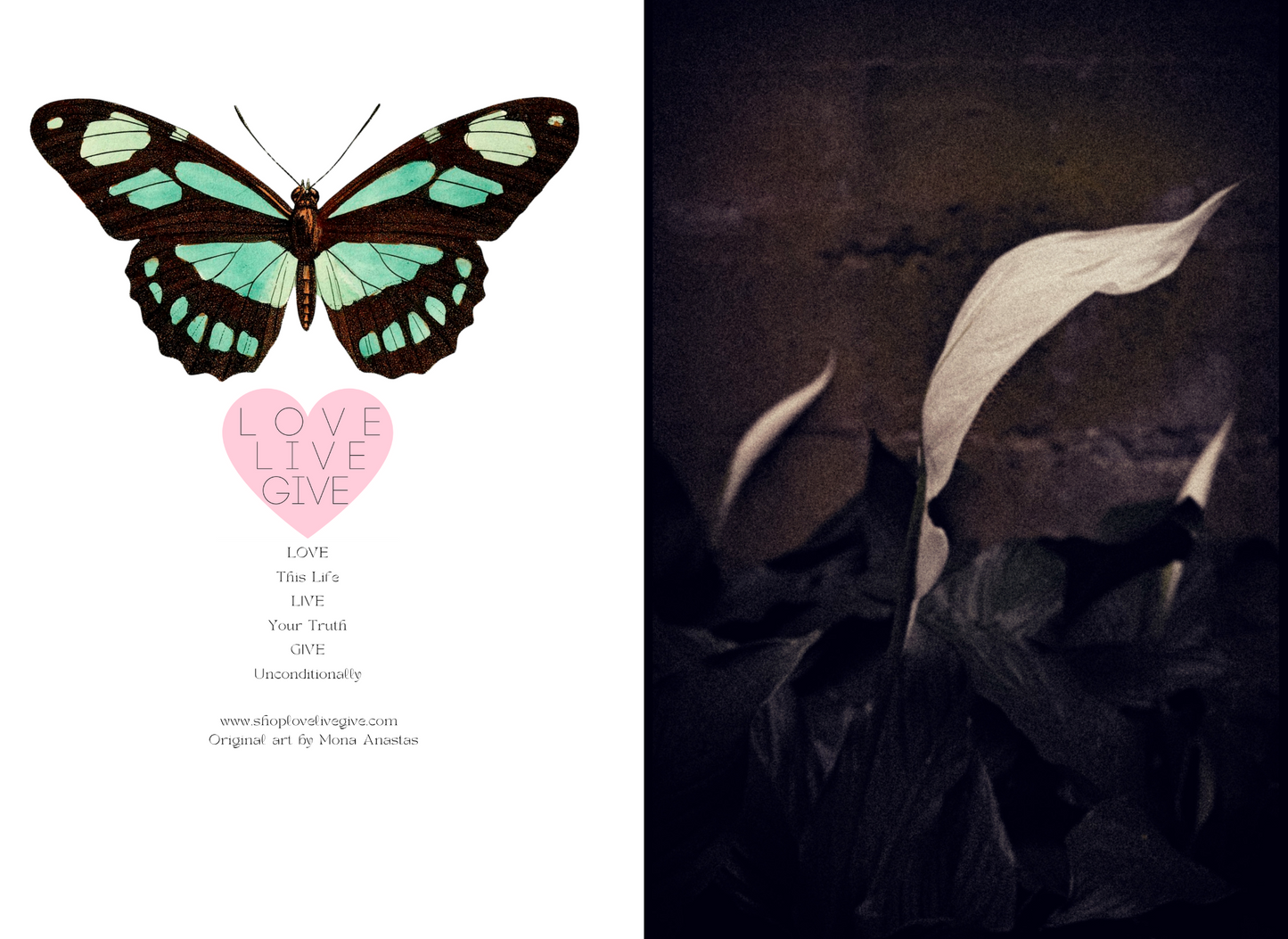 Bending Peace Lily Journal: Art by Mona Anastas