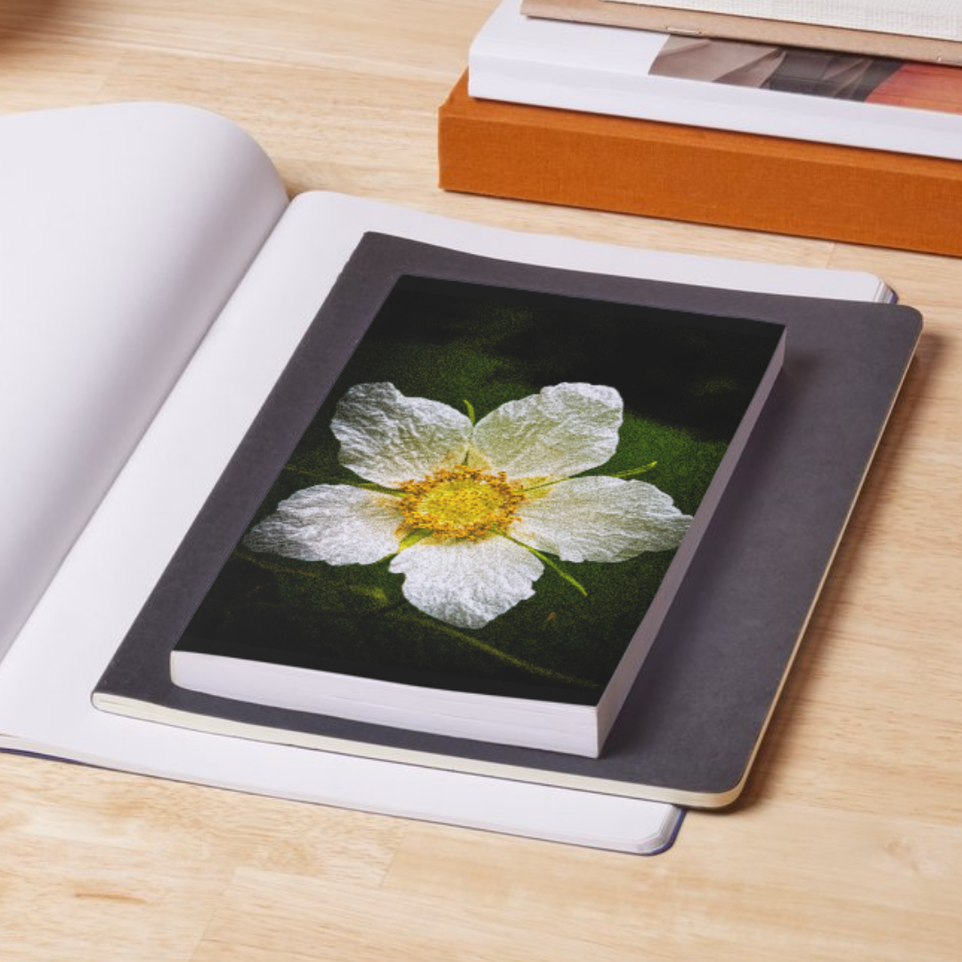 Blackberry Flower Journal: Art by Mona Anastas