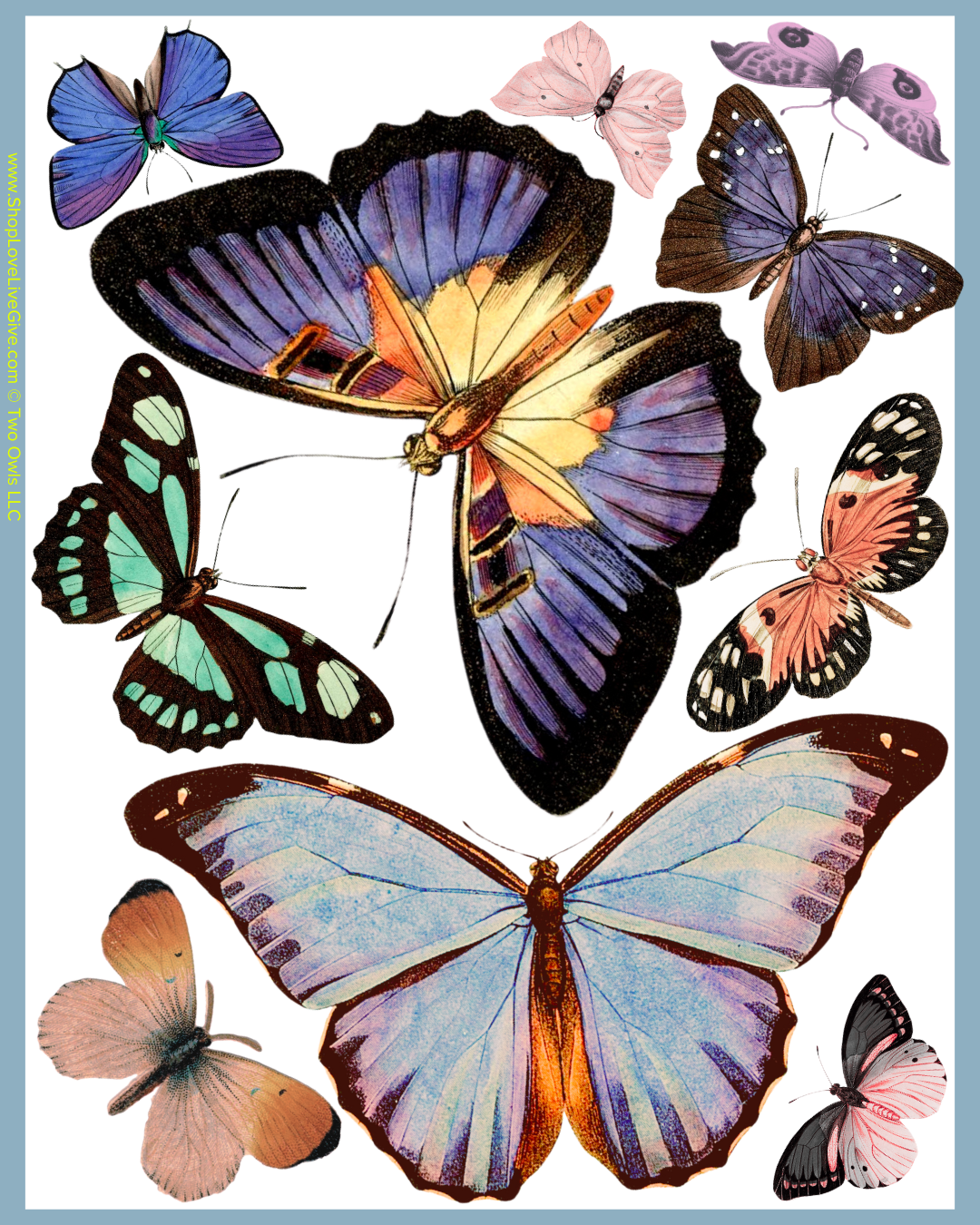 Assorted Butterfly Sheet of Stickers
