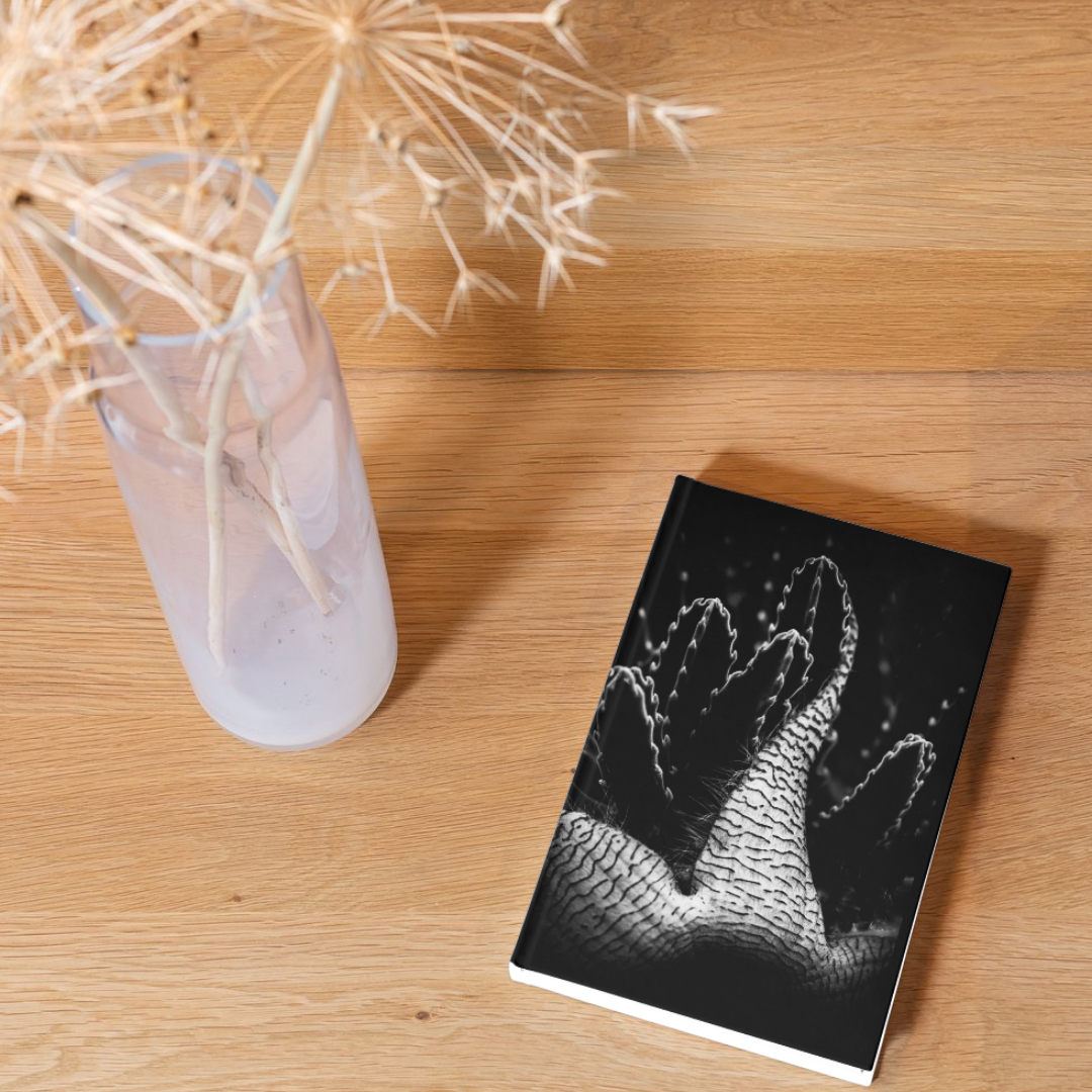 Cactus in Black and White Journal: Art by Mona Anastas