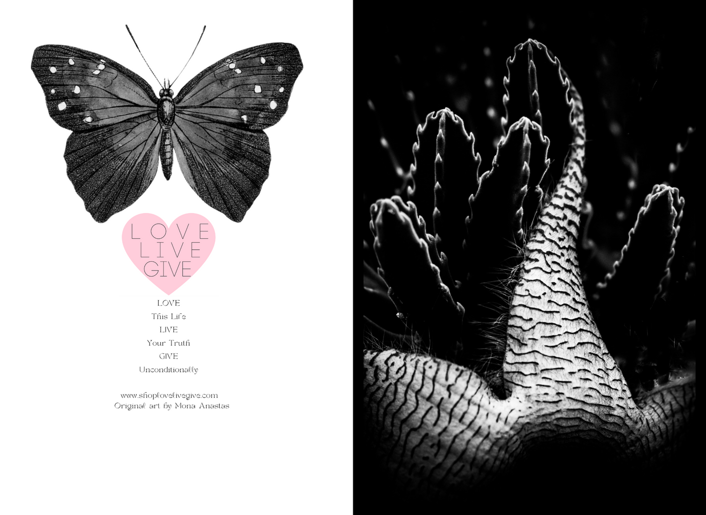 Cactus in Black and White Journal: Art by Mona Anastas