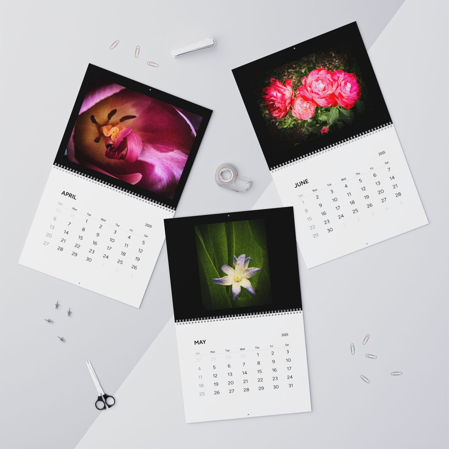 Flowers in Black Wall Calendars (2025)
