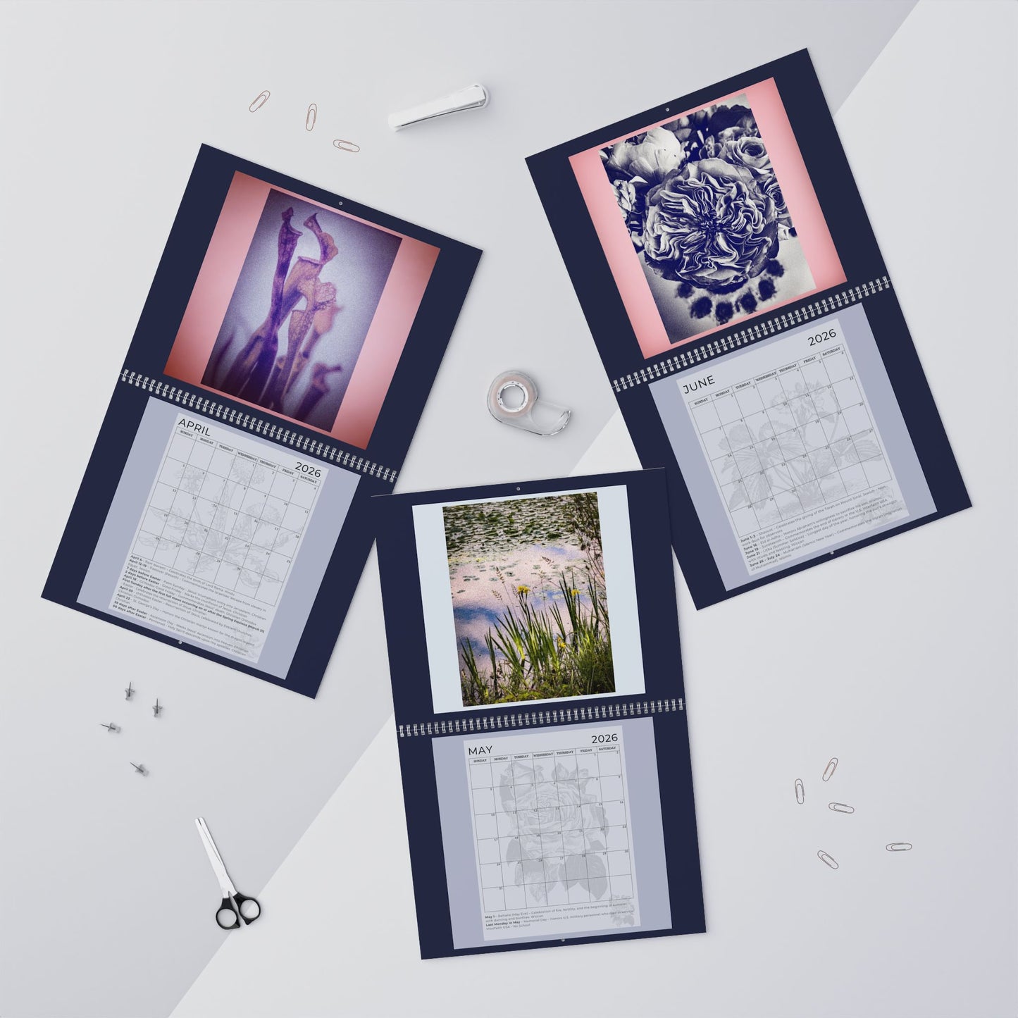 2026 "EXPRESSIONS OF LIGHT" WALL Calendar