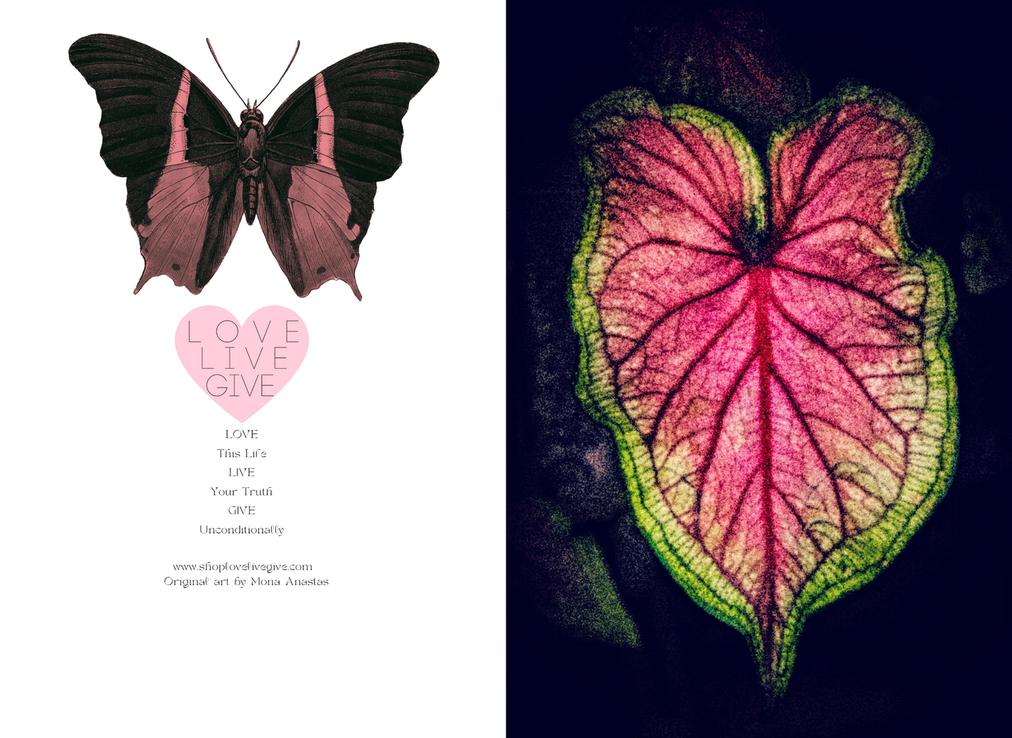 Elephant Ear Journal: Art by Mona Anastas