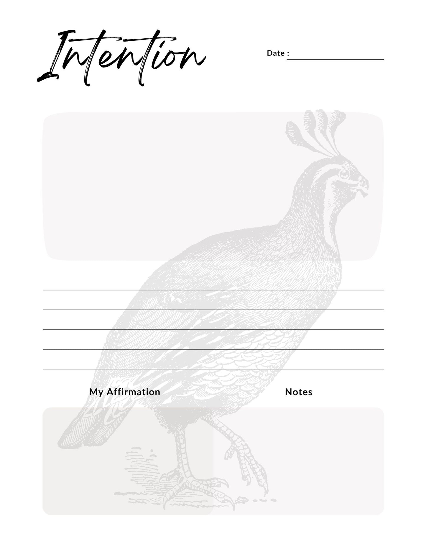 Monthly Planner and Journal with Fill In Calendar: Art by Mona Anastas