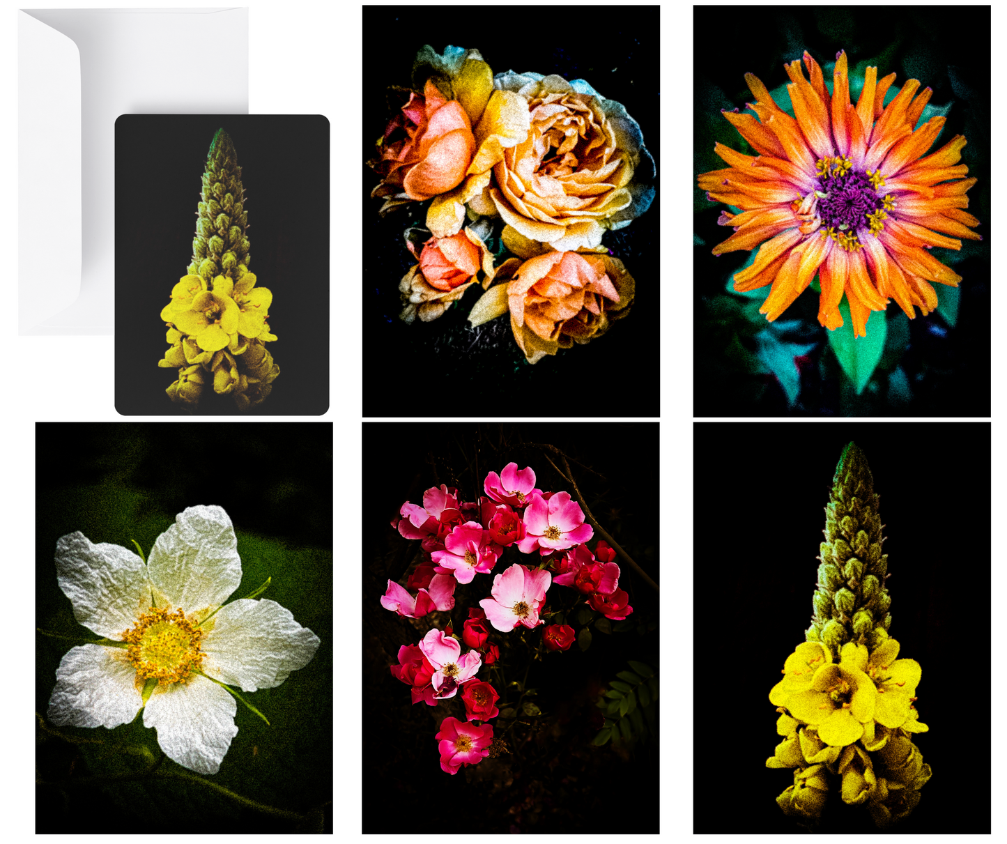 Flowers in Black (set of 25 50% OFF at Checkout $3.25 per card)