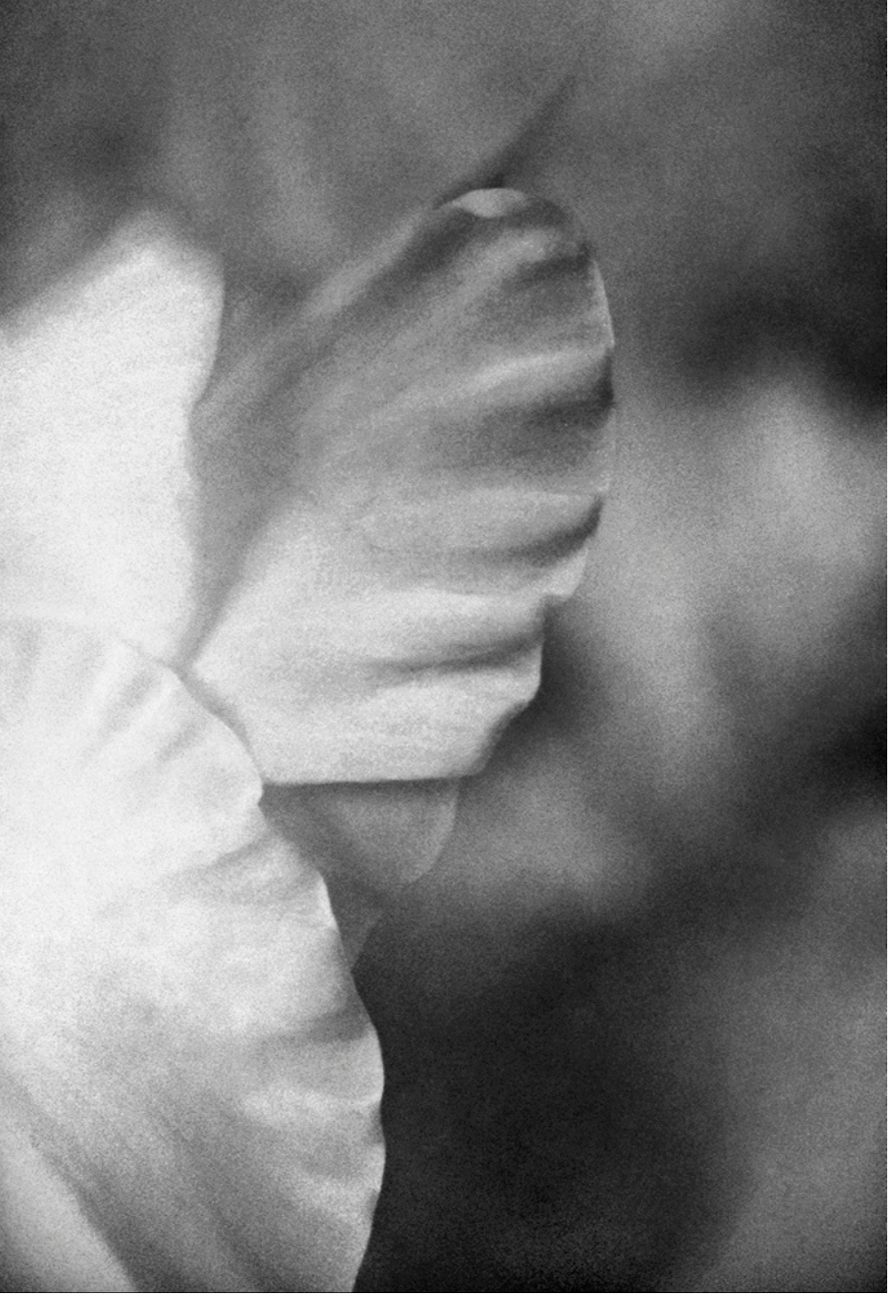 Gladiola in Black and White Journal: Art by Mona Anastas