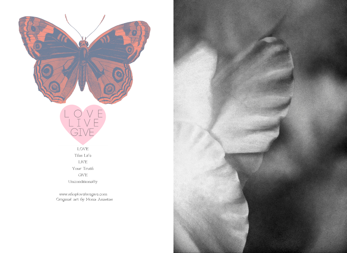 Gladiola in Black and White Journal: Art by Mona Anastas