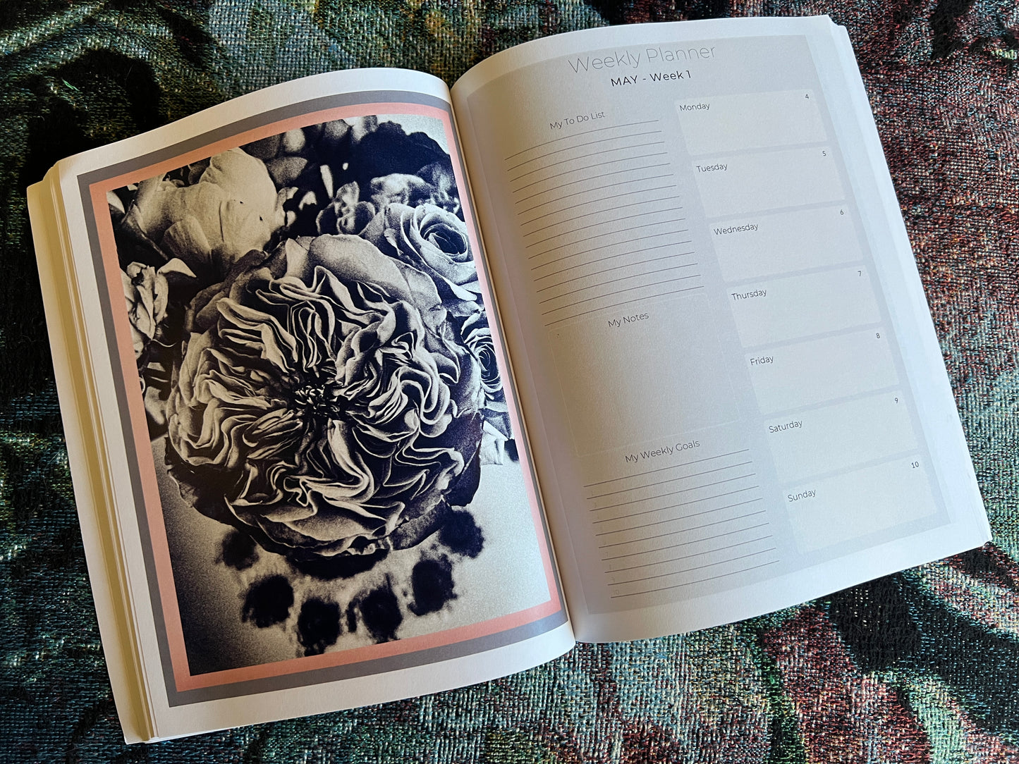 2026 Expressions of Light Desk Calendar and Planner - Art by Mona Anastas