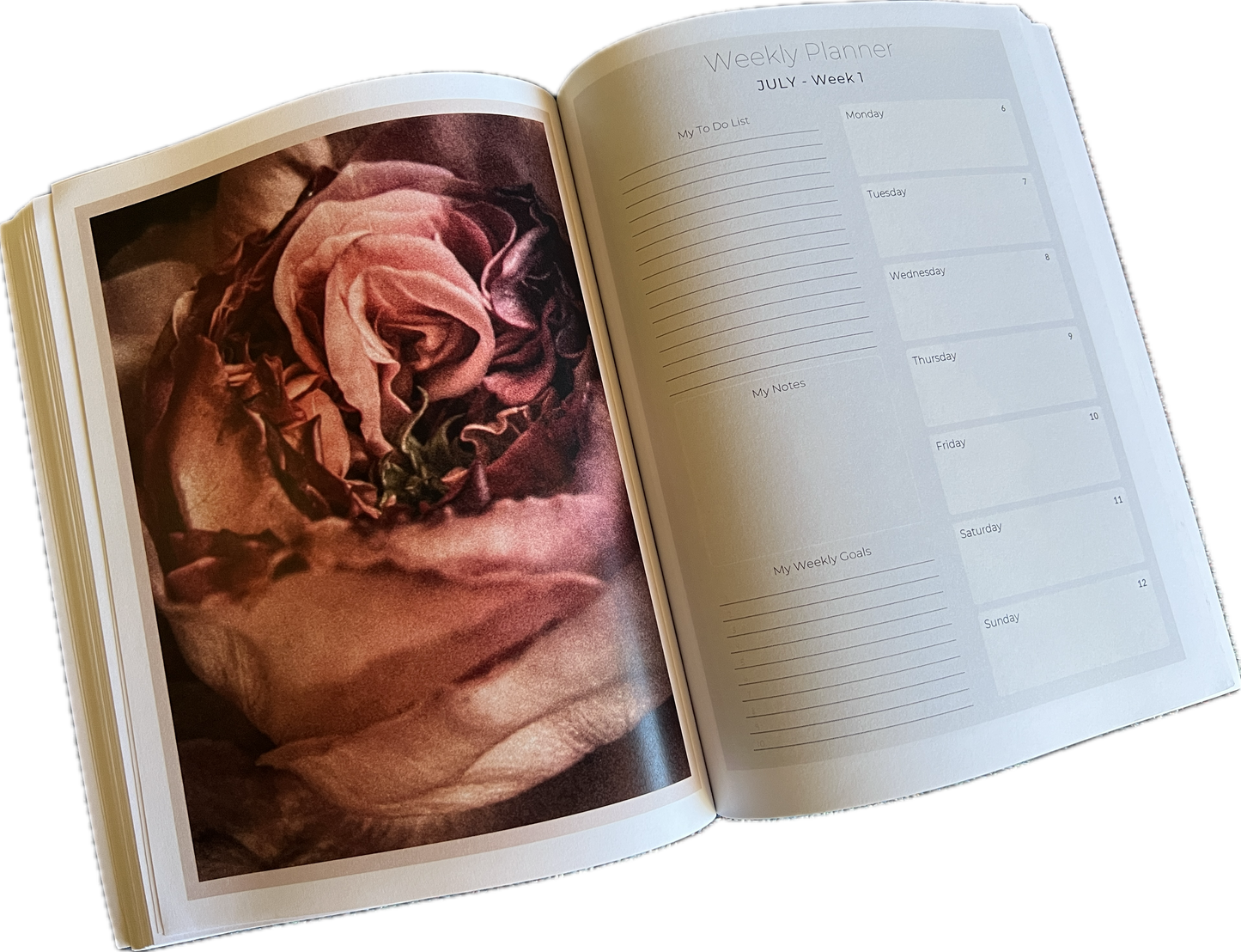 2026 Expressions of Light Desk Calendar and Planner - Art by Mona Anastas