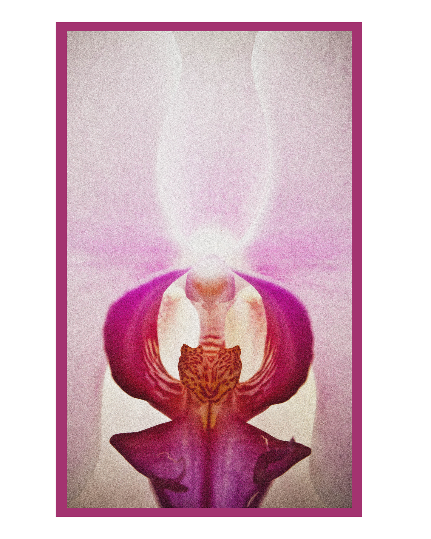 2026 Expressions of Light Desk Calendar and Planner - Art by Mona Anastas