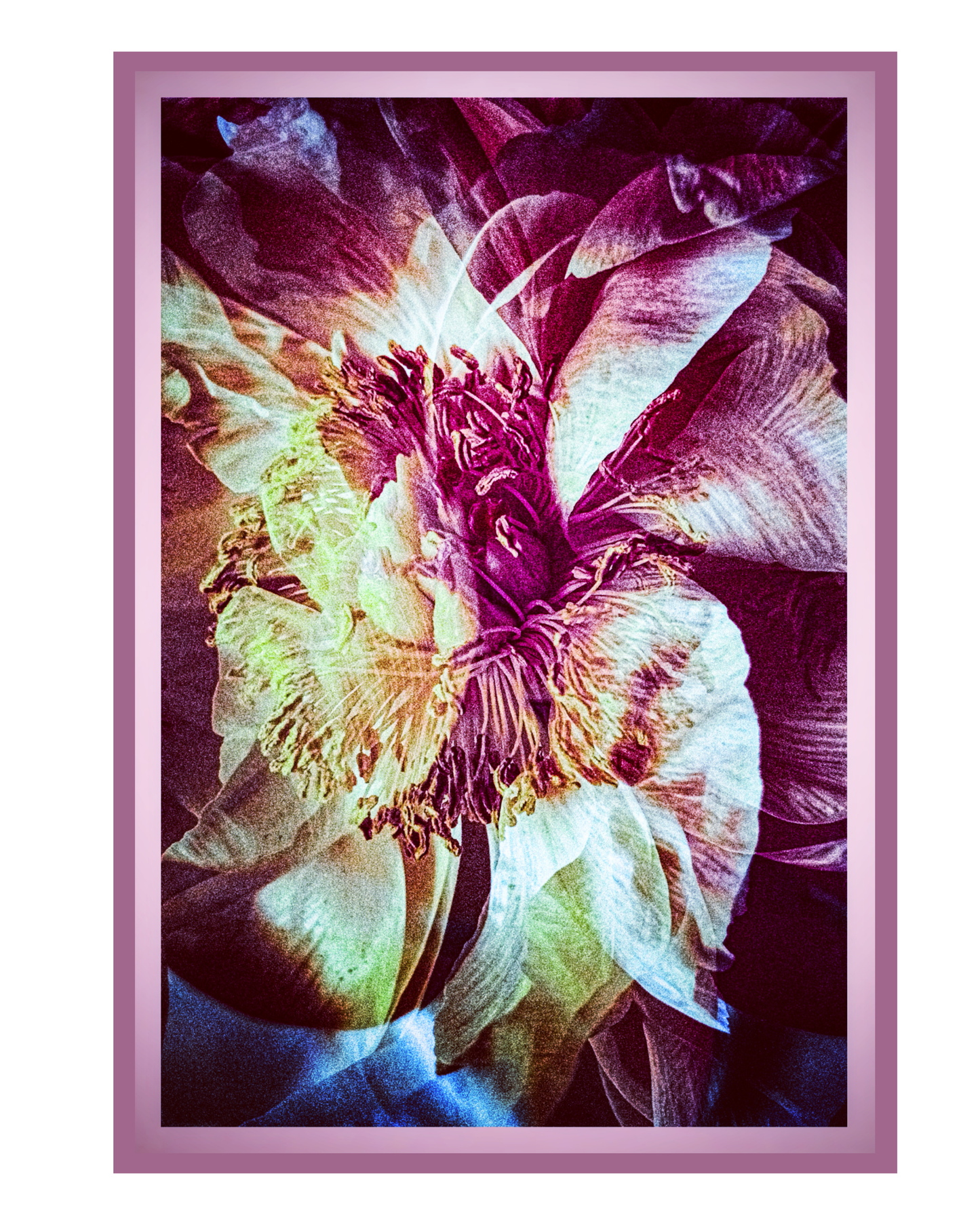 2026 Expressions of Light Desk Calendar and Planner - Art by Mona Anastas