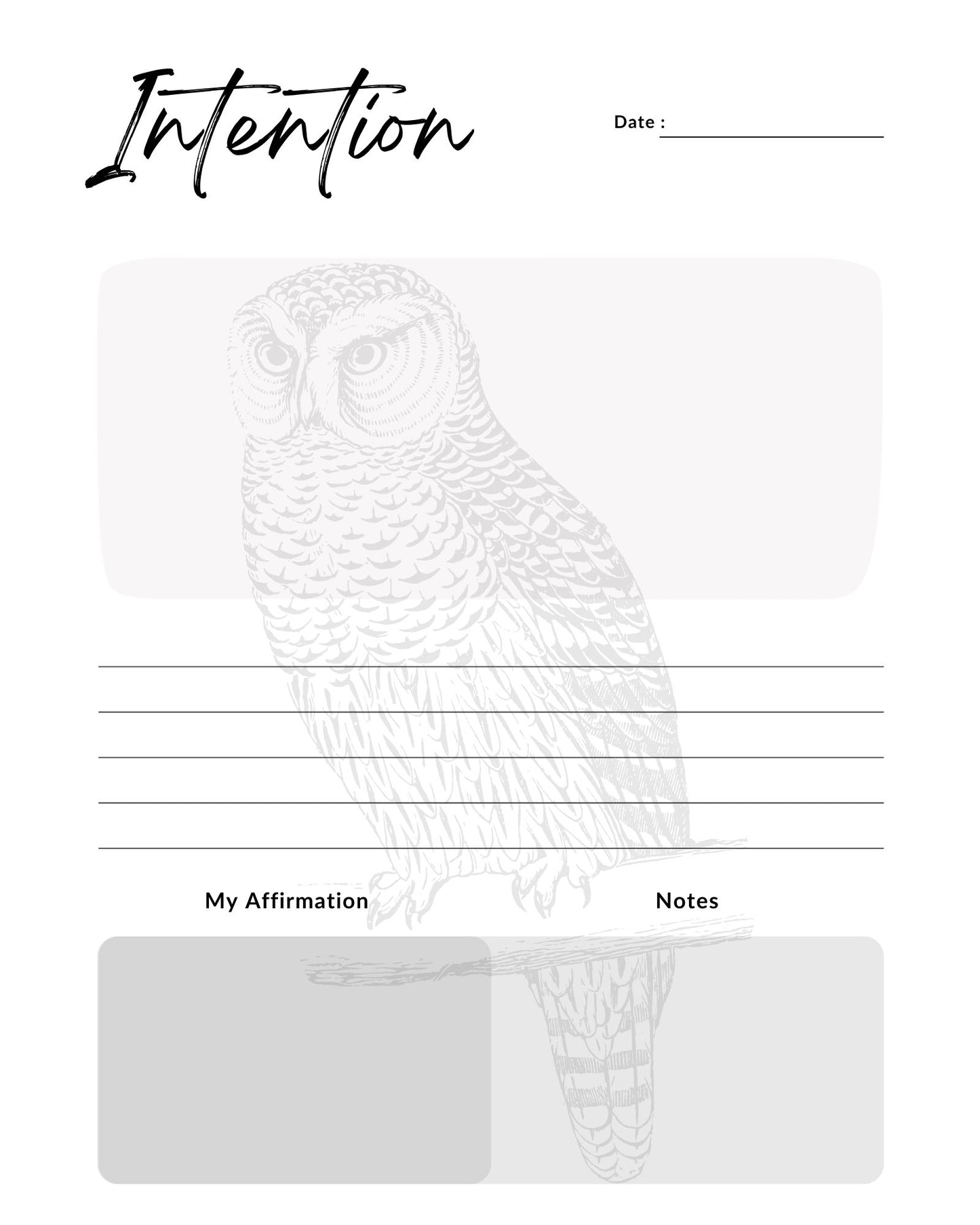 Monthly Planner and Journal with Fill In Calendar: Art by Mona Anastas