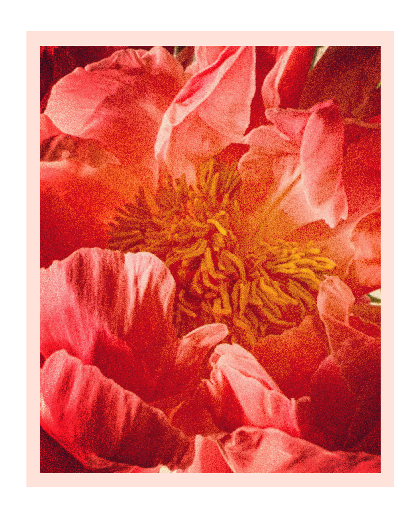 2026 Expressions of Light Desk Calendar and Planner - Art by Mona Anastas