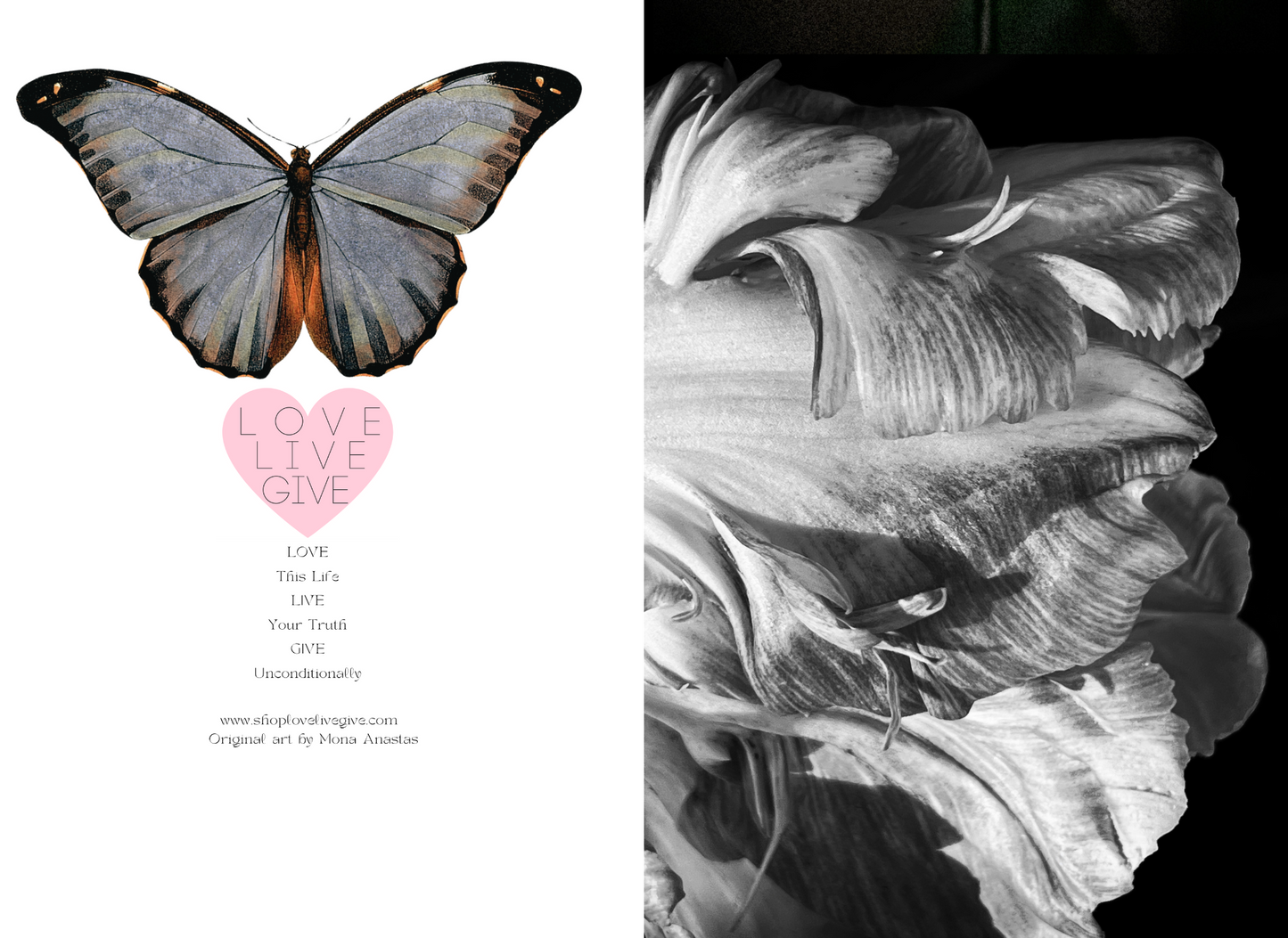 Open Tulip in Black and White Journal: Art by Mona Anastas