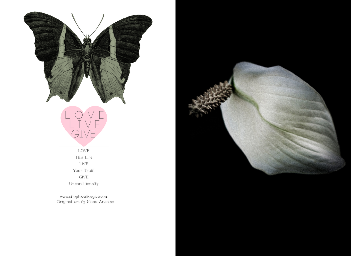 Peace Lily in Black Journal: Art by Mona Anastas