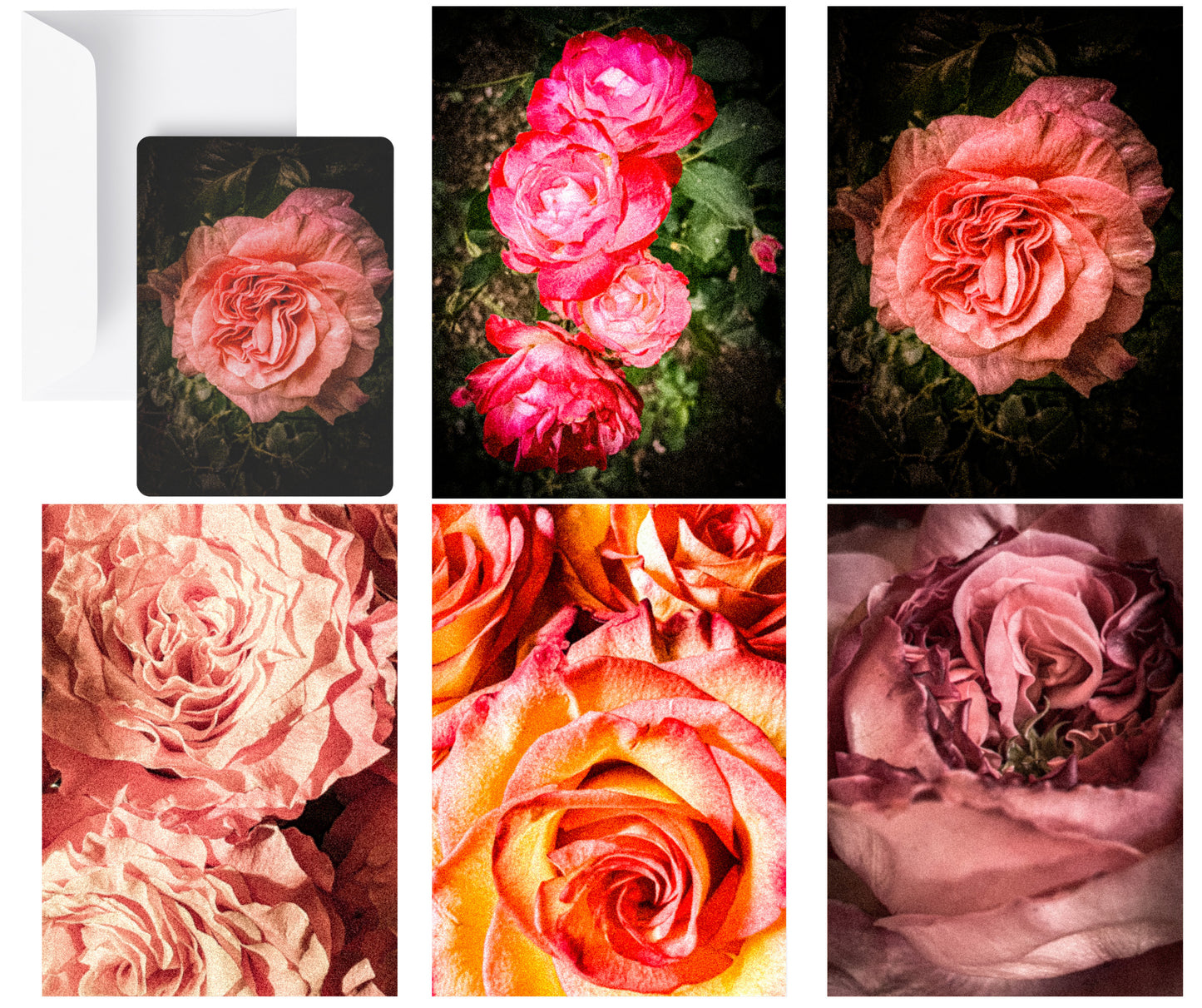 Rose Garden Greeting Cards (set of 25 50% OFF at Checkout $3.25 per card)