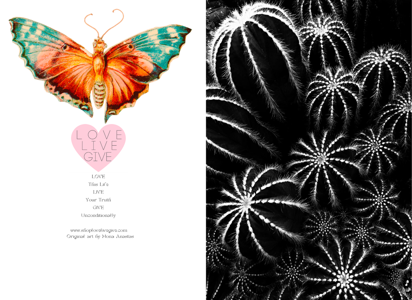 Round Cactus in Black and White Journal: Art by Mona Anastas