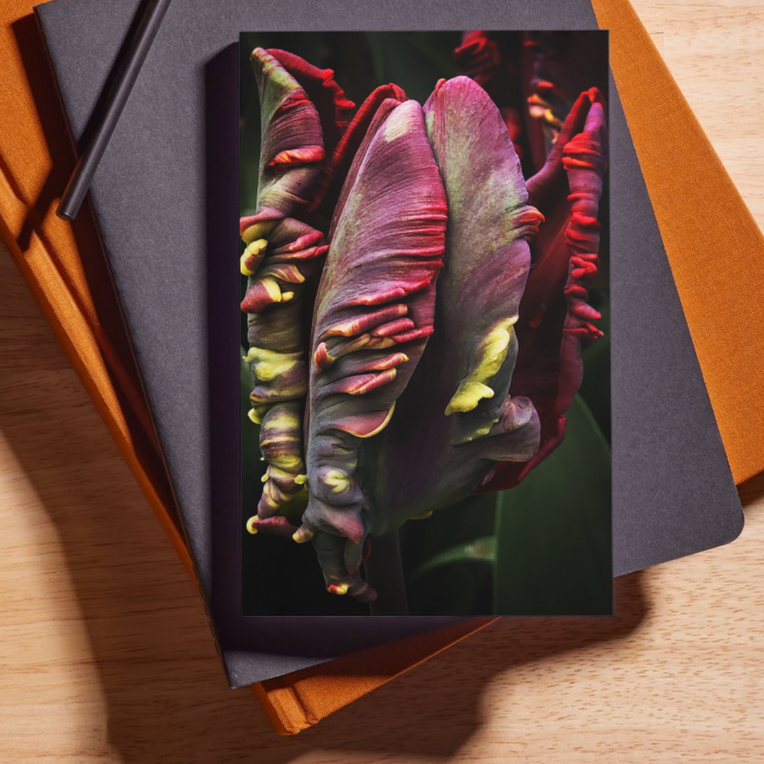 Unfolding Tulip Journal: Art by Mona Anastas
