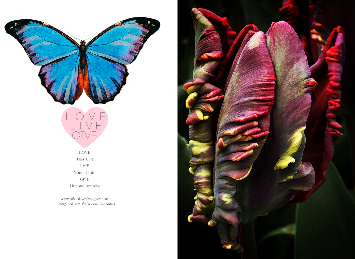 Unfolding Tulip Journal: Art by Mona Anastas