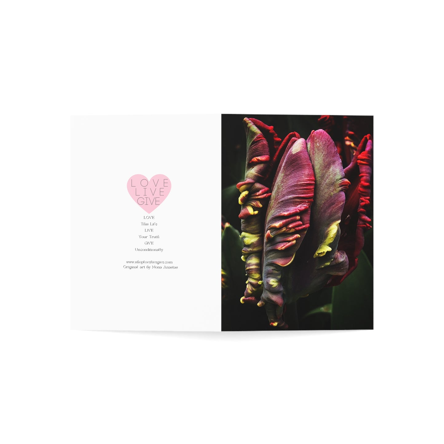 Waking Tulip in B&W Greeting Card (1pc or 10pc)