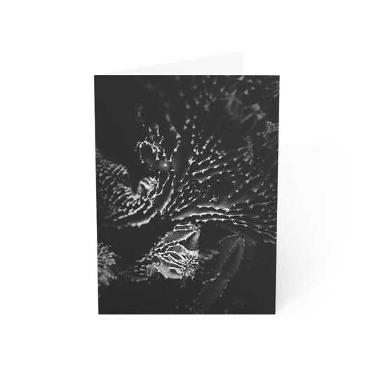 Fan Cactus in Black & White Greeting Card (1pc or 10pc)