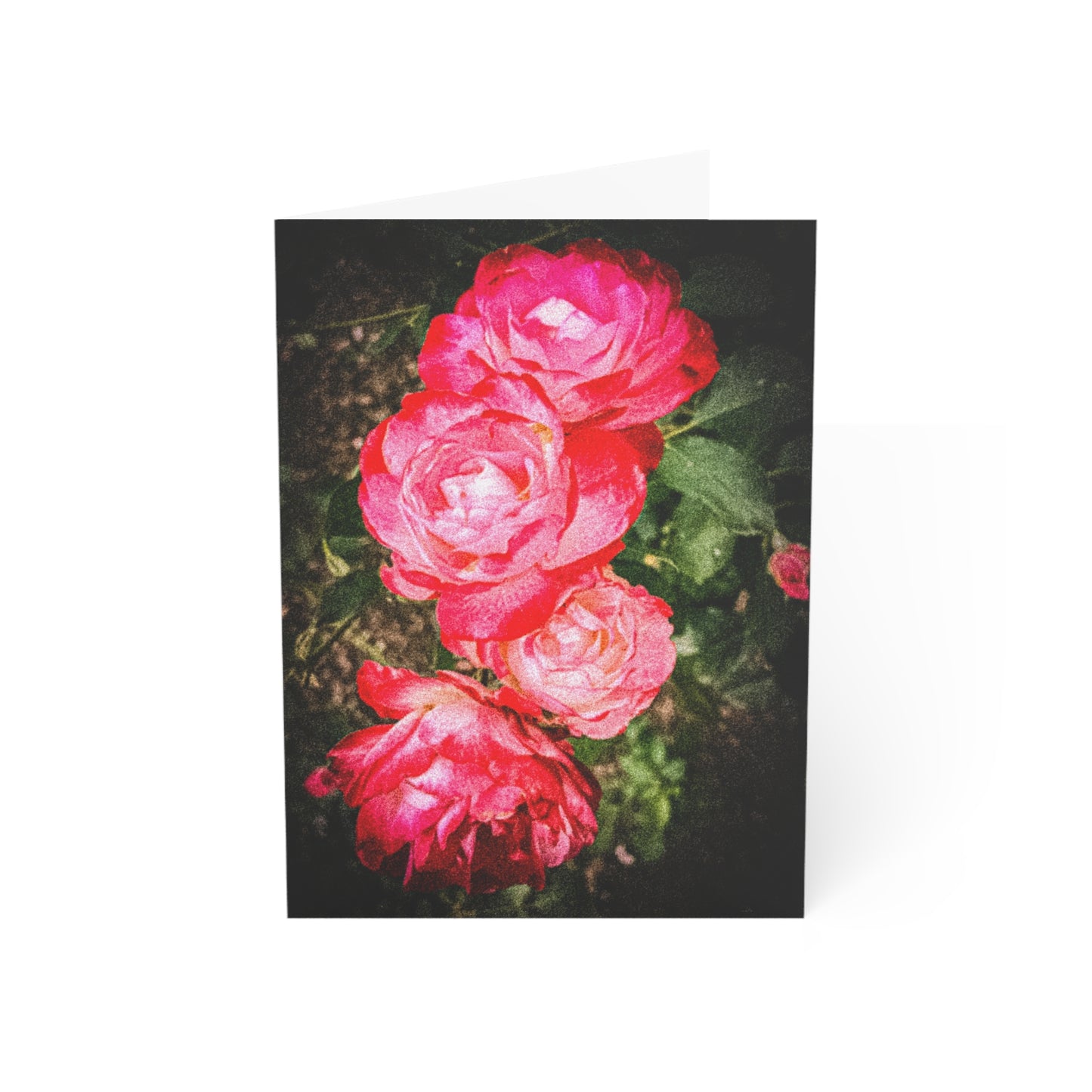 Zoo Garden Roses Greeting Card (1pc or 10pc)