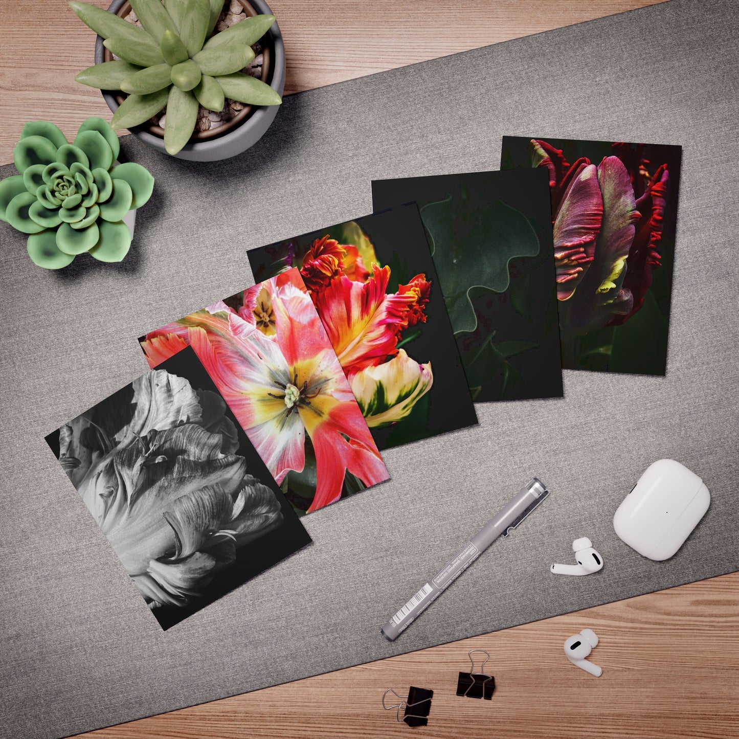 Spring Tulips Greeting Card Set (5-Pack)