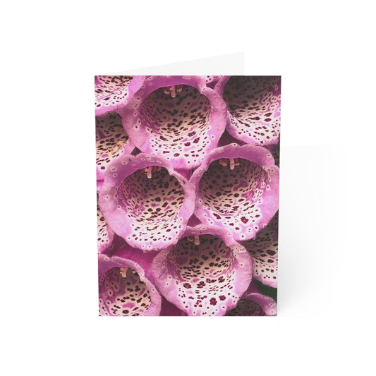 Foxglove Love Greeting Card (1pc or 10pc)