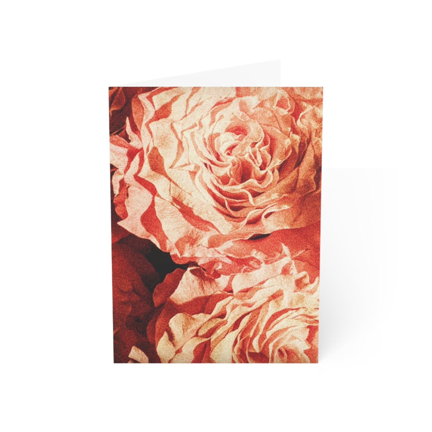 Twin Roses Greeting Card (1pc or 10pc)