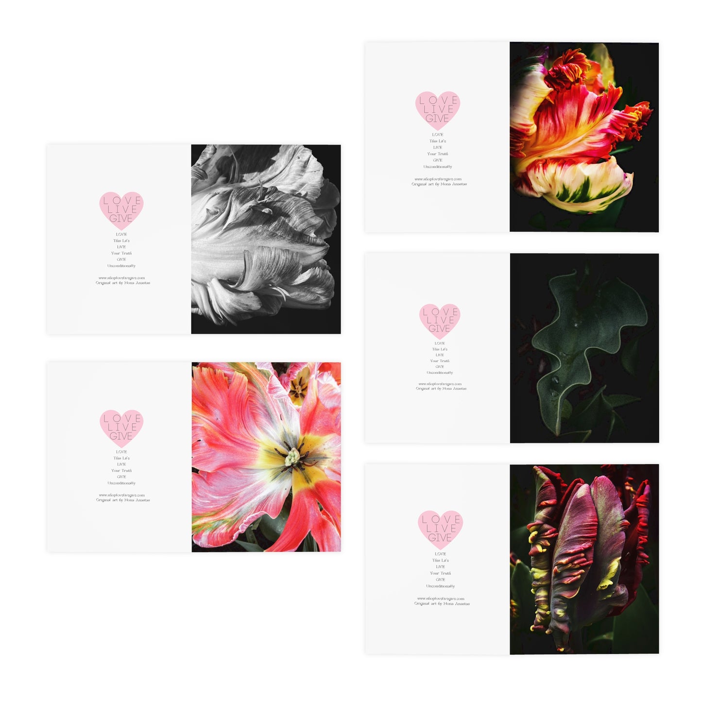 Spring Tulips Greeting Card Set (5-Pack)