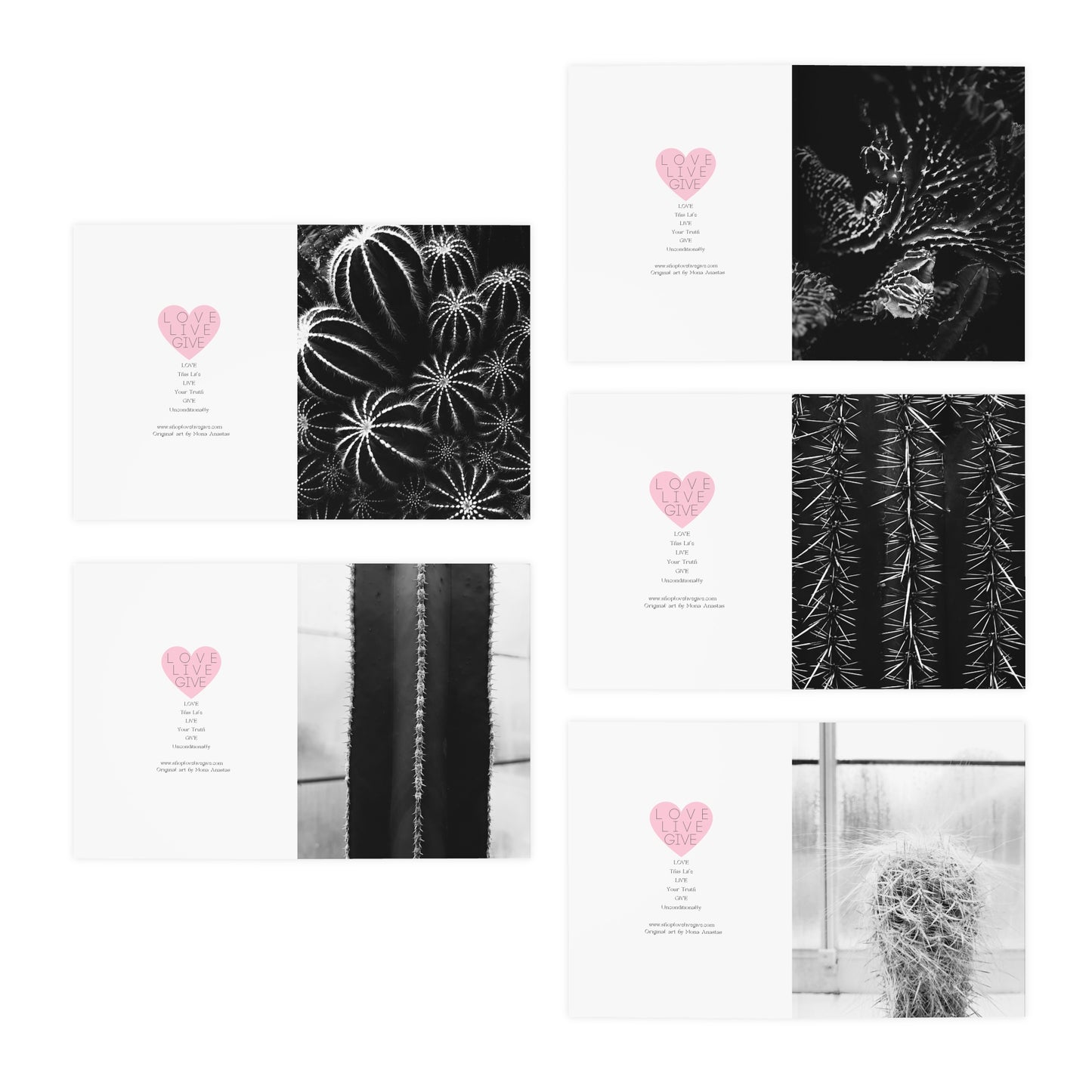 Cactus in Black & White Greeting Card Set of 5