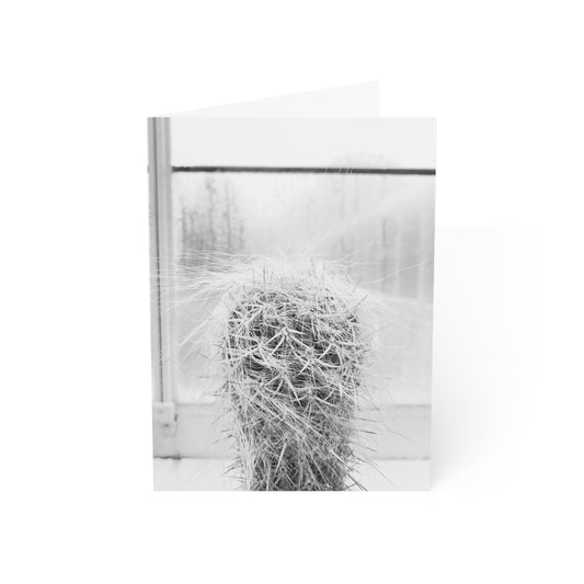 Hairy Cactus in Black & White Greeting Card (1pc or 10pc)