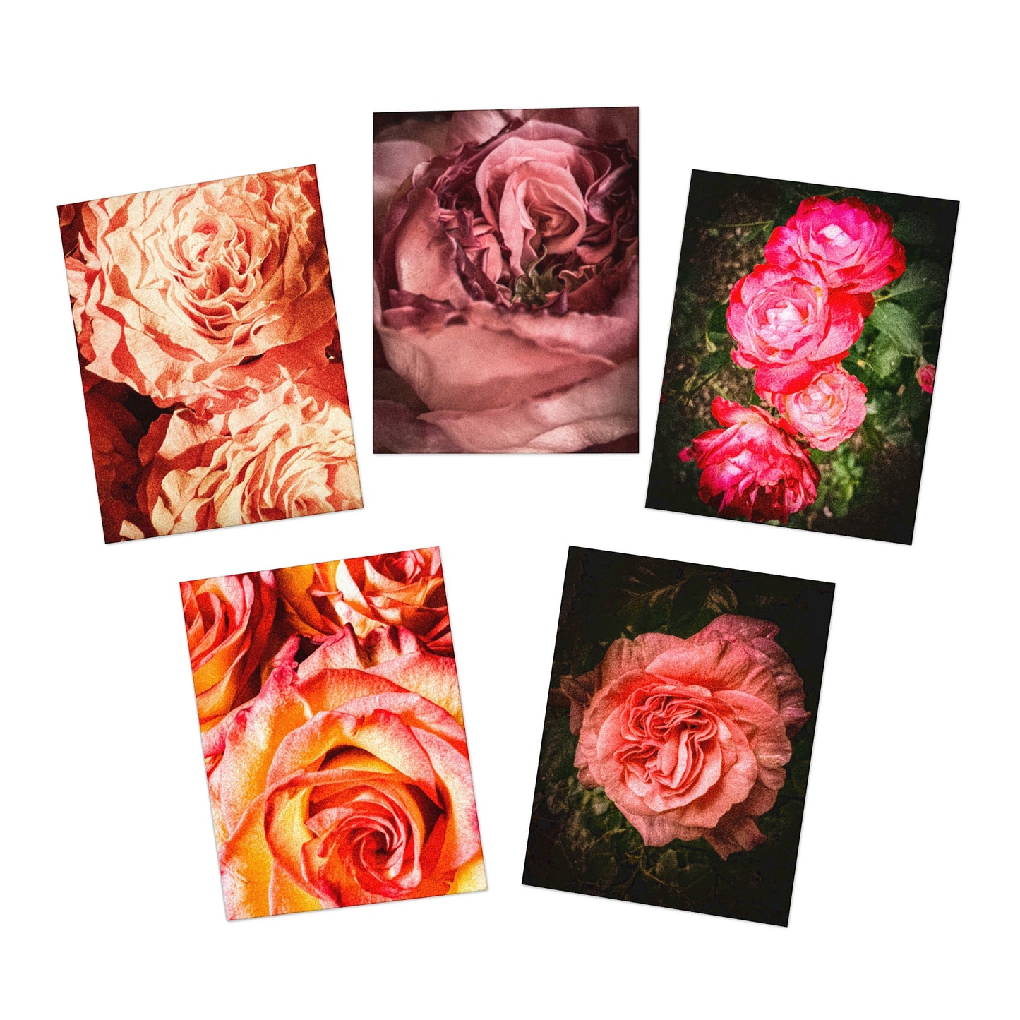 Rose Garden Greeting Card Set (5-Pack)