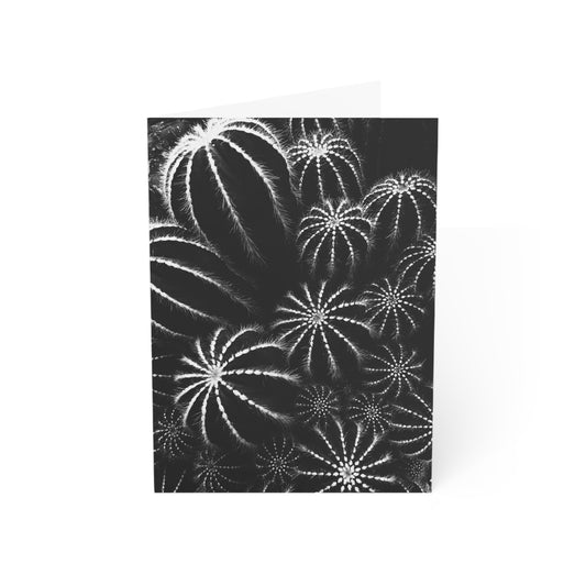 Round Cactus in Black & White Greeting Card (1pc or 10pc)