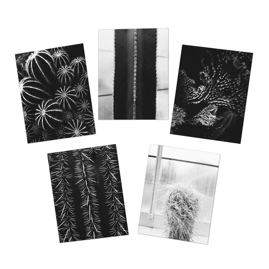 Cactus in Black & White Greeting Card Set of 5