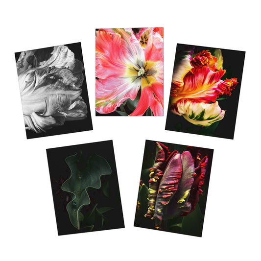 Spring Tulips Greeting Card Set (5-Pack)