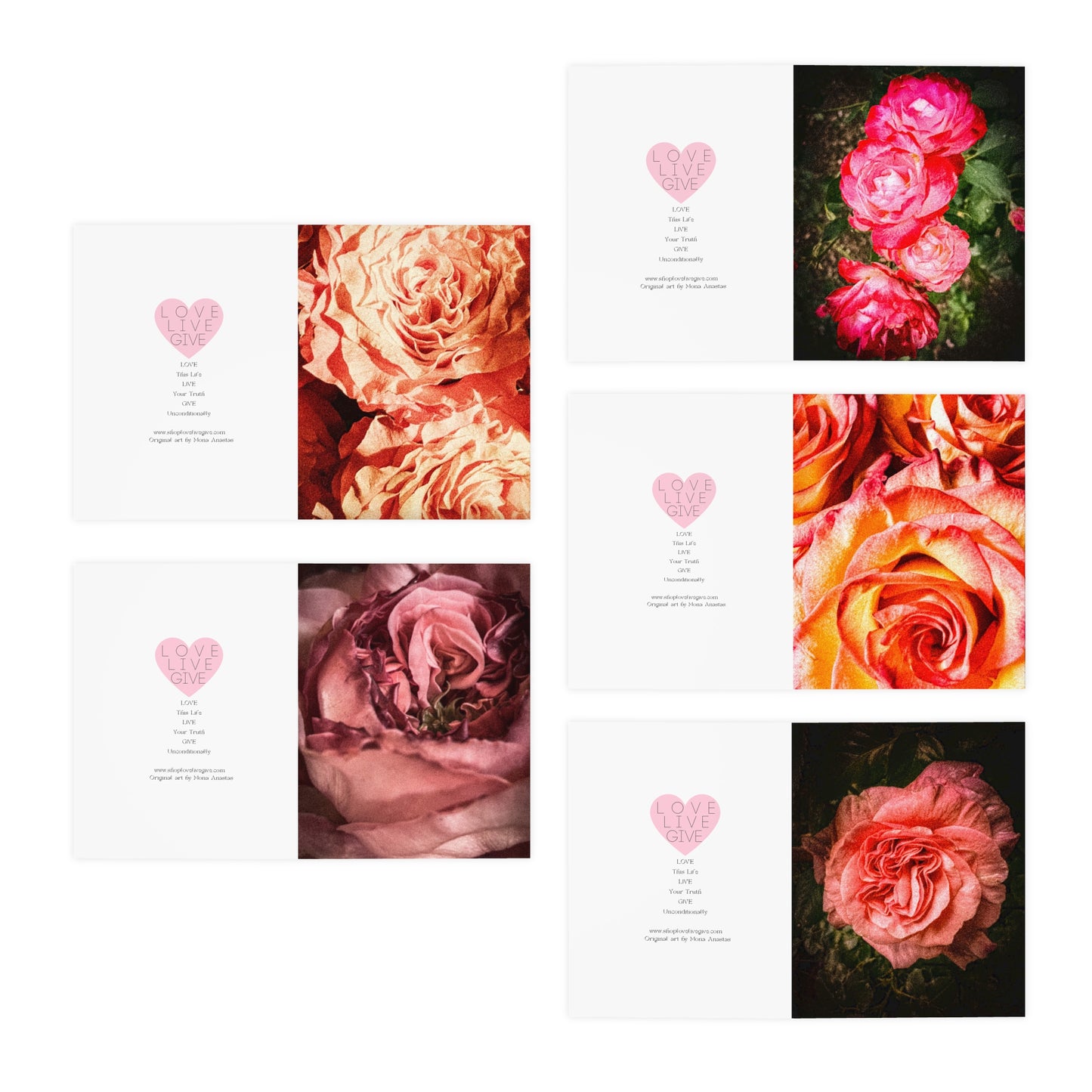 Rose Garden Greeting Card Set (5-Pack)