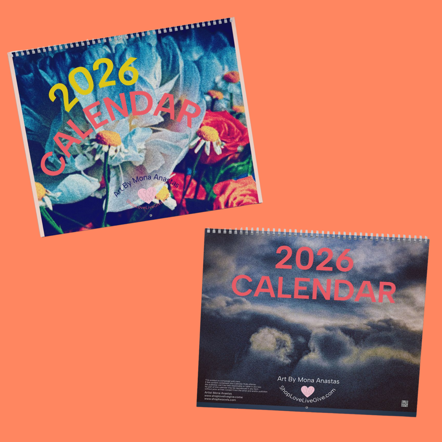 2026 "EXPRESSIONS OF LIGHT" WALL Calendar