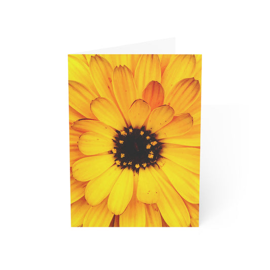 Golden Afternoon Greeting Card (1pc or 10pc)