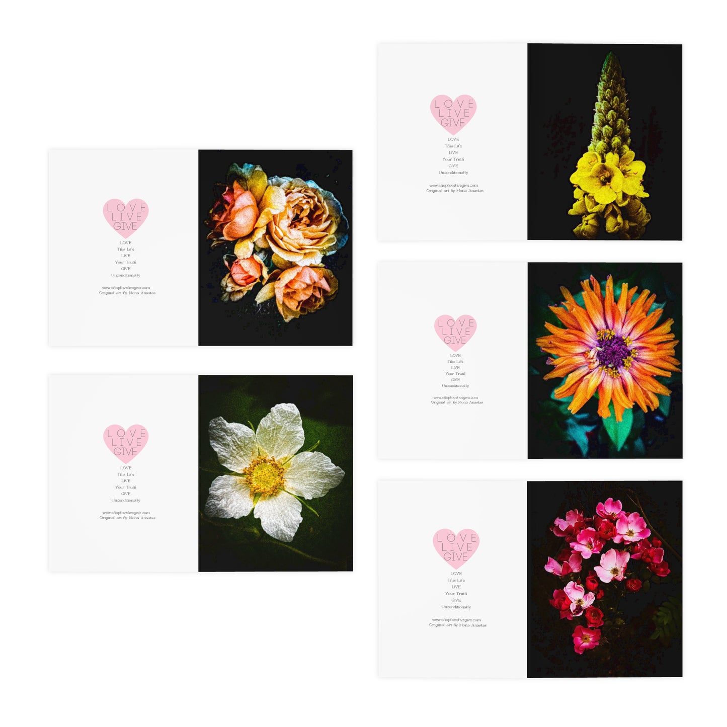 Flowers in Black Greeting Card Set (5-Pack)