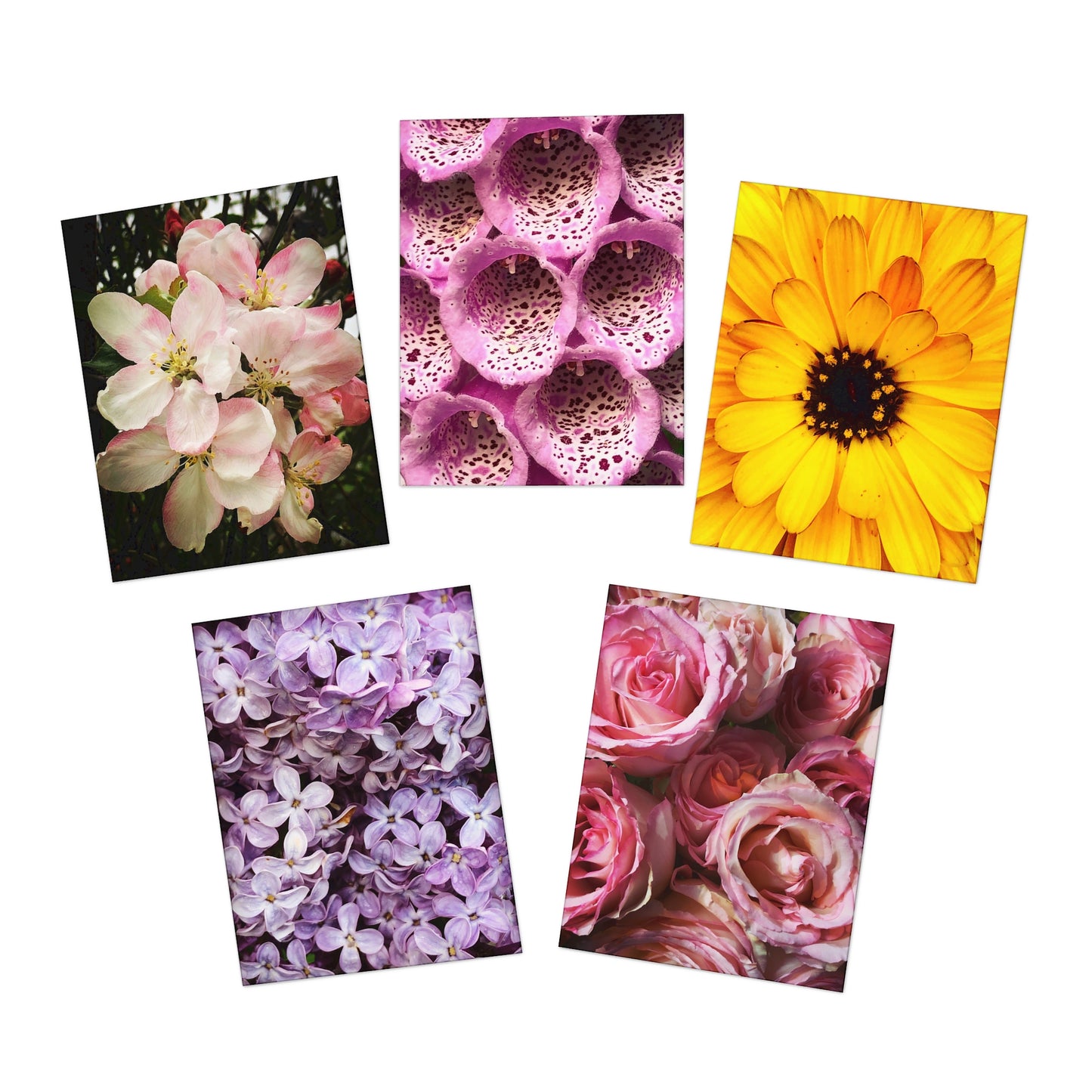 Spring Bouquet Greeting Card Set (5-Pack)