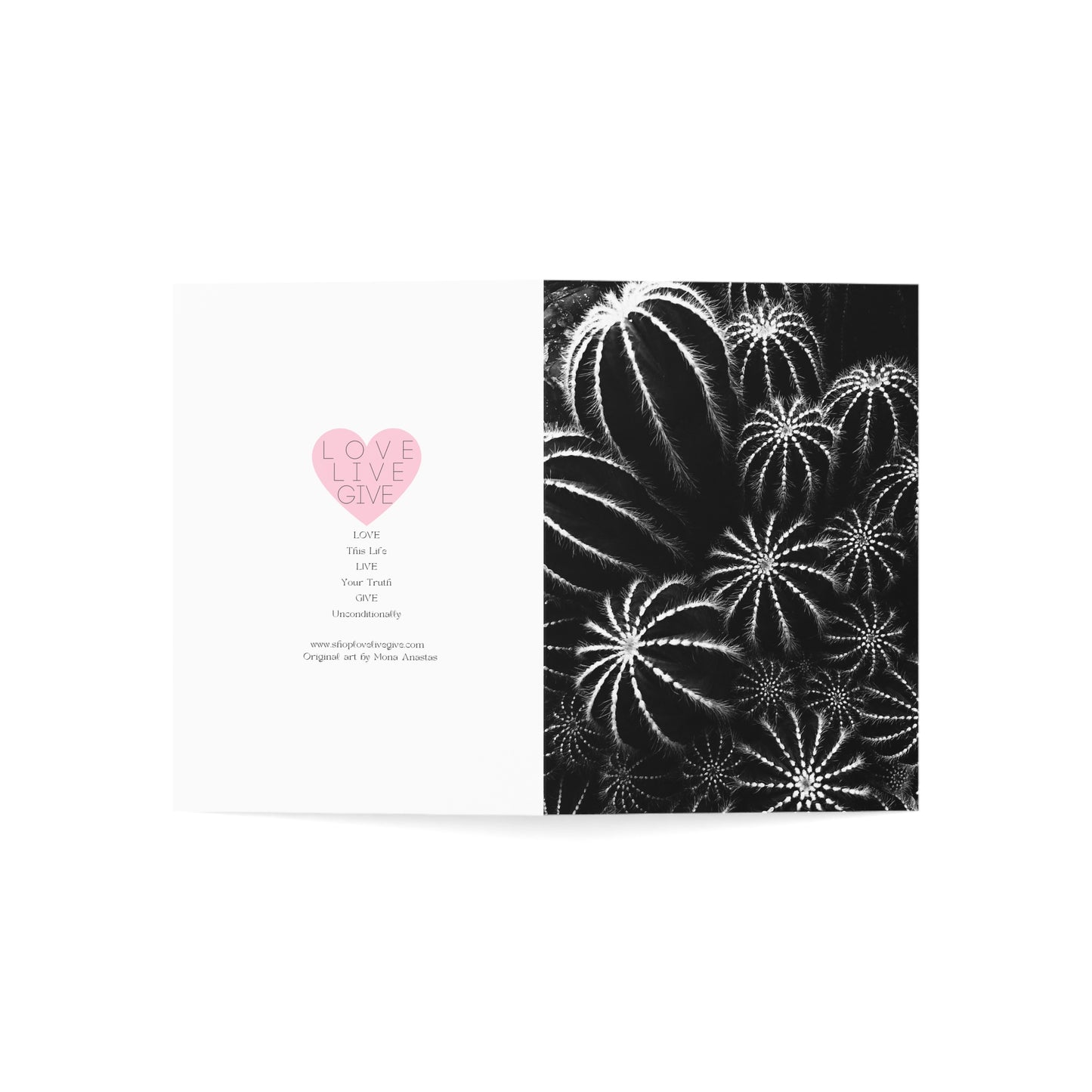 Round Cactus in Black & White Greeting Card (1pc or 10pc)