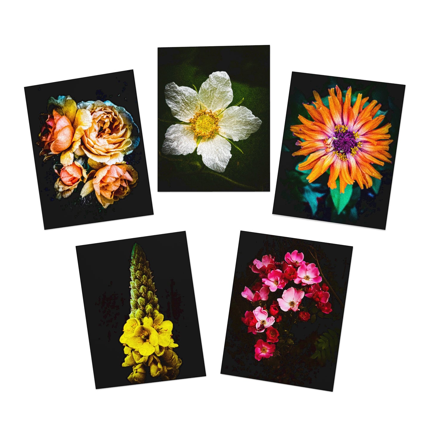 Flowers in Black (set of 25)